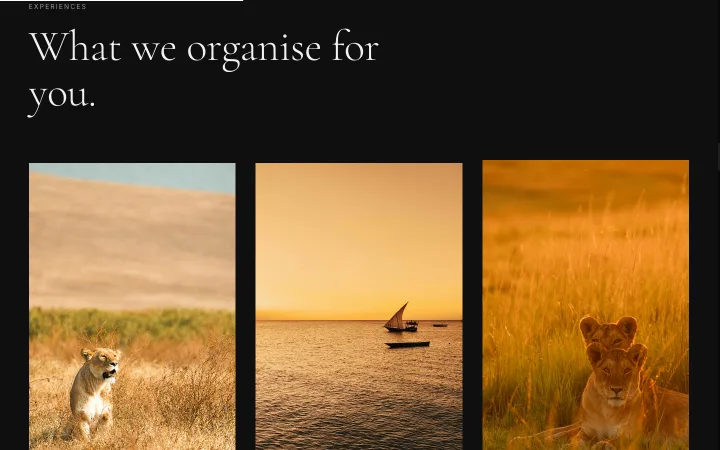 Concierge Service – Safari- und Sansibar-Erlebnisse