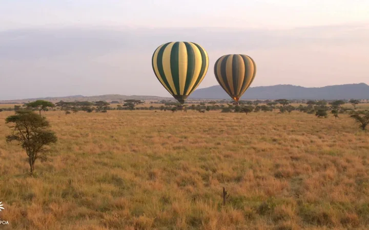 Concierge Service – Heißluftballons über der Serengeti